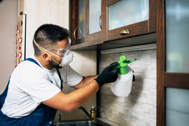 Best Pest Removal Services  in Broadview Park, FL