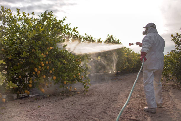 Best Wildlife Control Services  in Broadview Park, FL