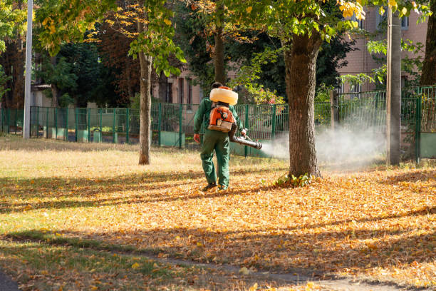 Wasp Removal Services in Broadview Park, FL