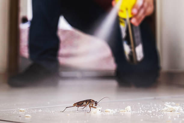 Best Pest Inspection Near Me  in Broadview Park, FL
