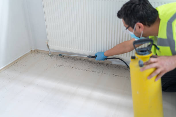 Best Affordable Pest Control Services  in Broadview Park, FL